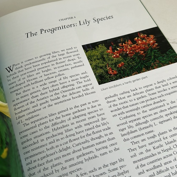 🌻4/$20 Vintage Lilies Book Softcover 2004 Edition Pamela McGeorge Firefly Books - Picture 7 of 16